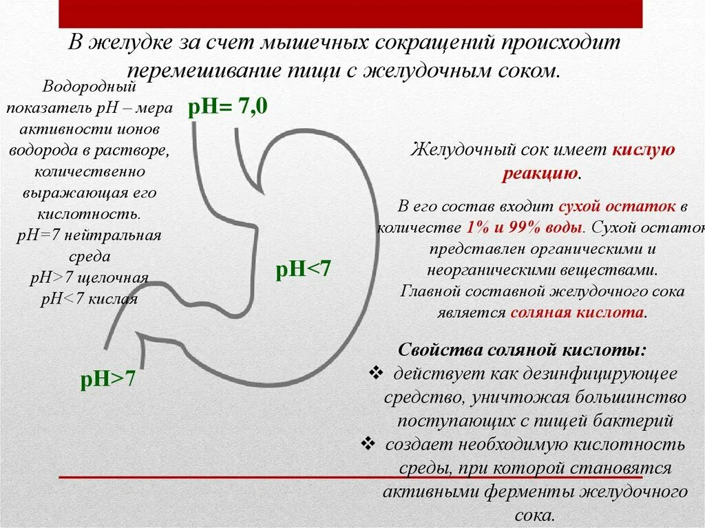 Кислота на голодный желудок. РН желудка в норме. Какова PH желудочного сока?. Среда желудка PH. Кислотность желудка PH.