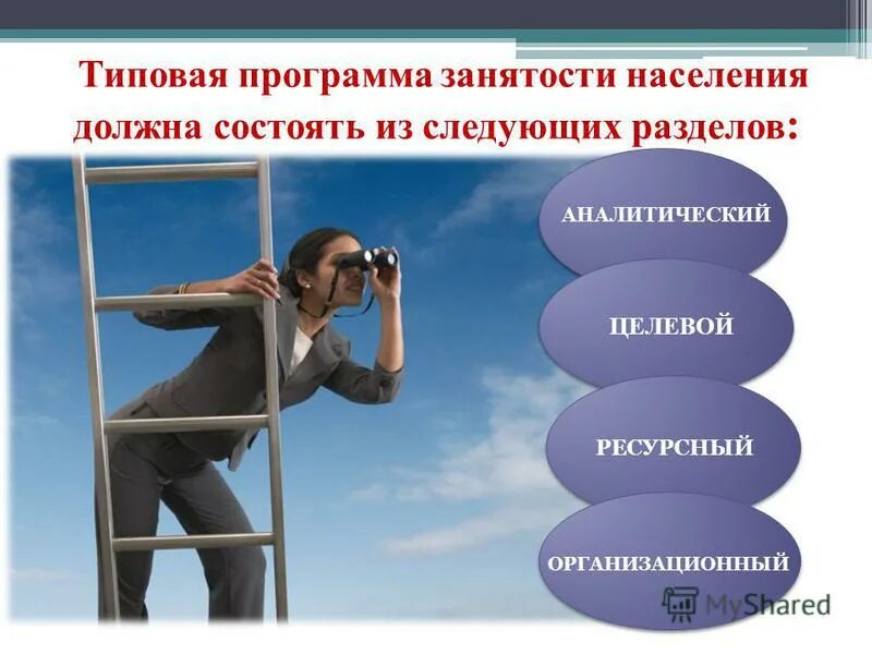 Содействие занятости национального проекта демография. Государственные программы в сфере занятости населения. Программы занятости. Программы службы занятости. Разработка программ занятости.