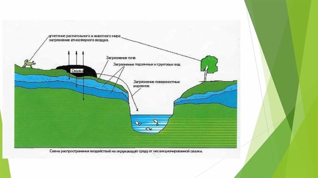 Поверхностные и грунтовые воды. Схема загрязнения подземных вод. Водные объекты: подземные воды. Влияние водохранилищ на грунтовые воды. Управление водохранилищами