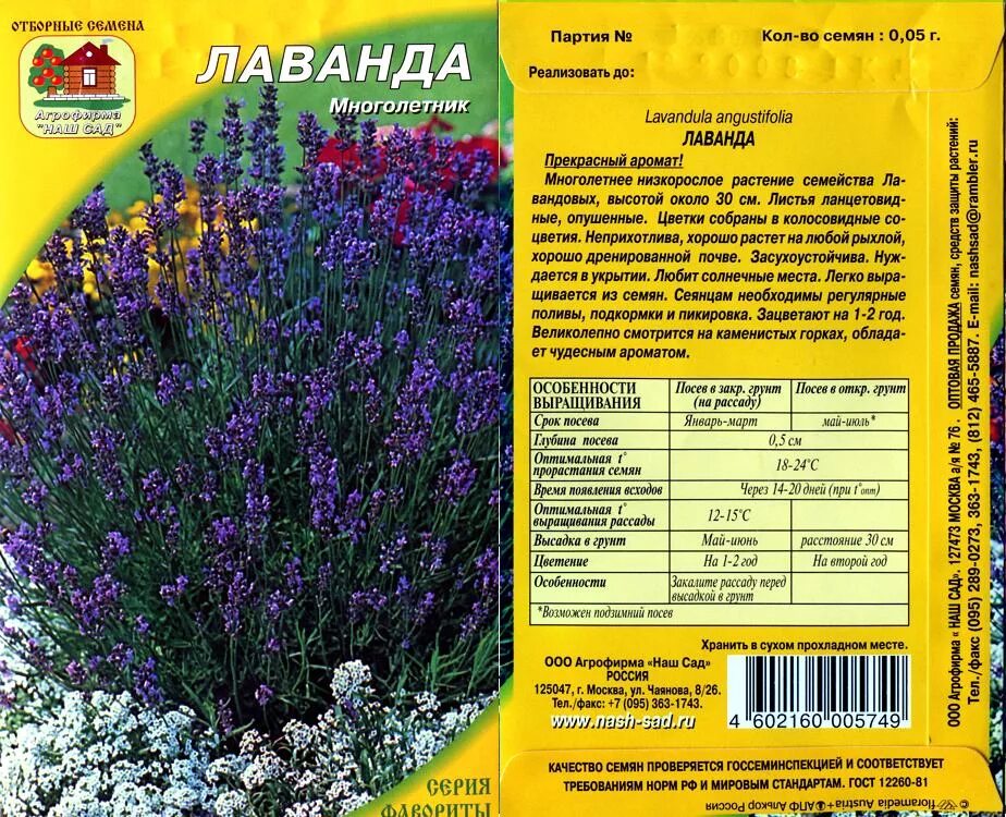 Лаванда какая почва. Лаванда узколистная Южанка. Семена Лаванда узколистная Южанка. Лаванда узколистная семена.