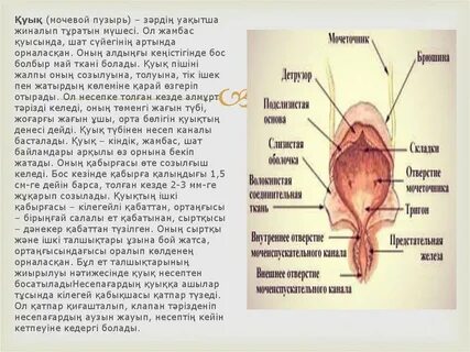 3jp секс 20 мб дейін