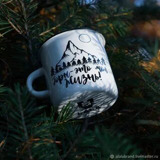 Жизнь чашки