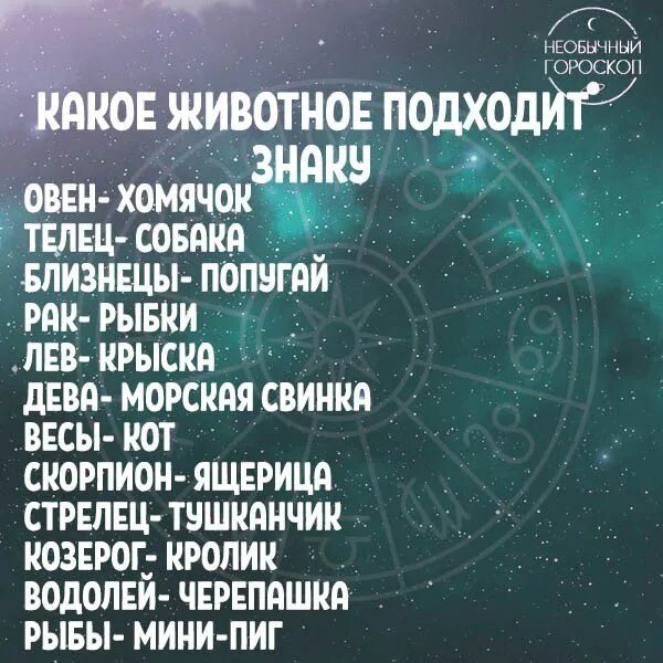 Необычный гороскоп. Самый сильный знак зодиака. Самые распространенные знаки зодиака. Самый главный знак зодиака в гороскопе. Какие знаки зодиака добрые