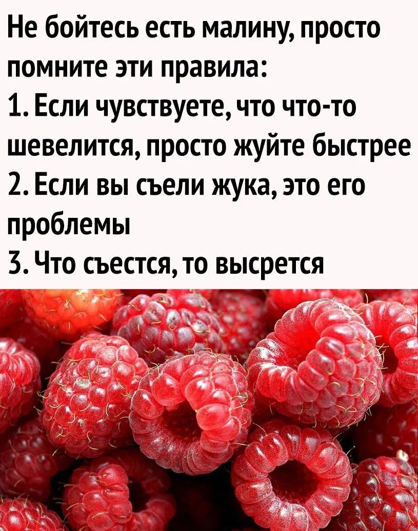 Почему быстро наедаешься. Правила поедания малины. Правило поедаеоя малины. Правила как есть малину. Не бойтесь есть малину.