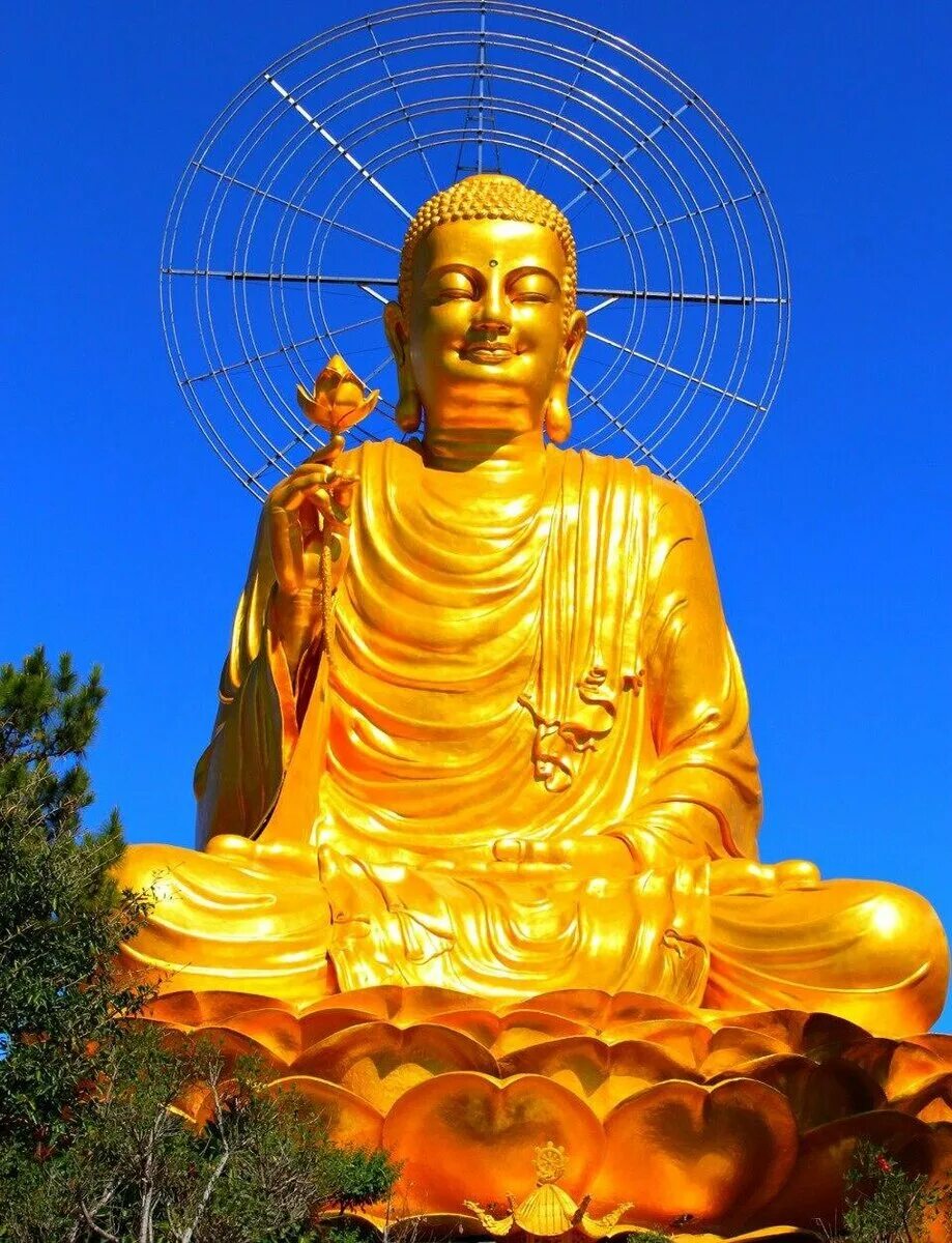 Фото будды. Будда Шакьямуни. Золотой Будда Далат. Буддизм Будда Шакьямуни. Уханьский Будда.