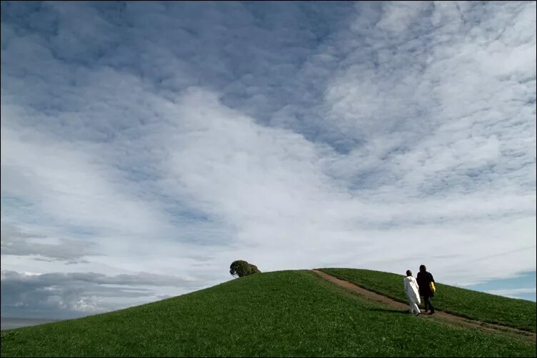 близ рощи на пригорке стояли дачи. диктант личные местоимения. я обратил внимание на пригорок. блиц роща на пригорке стояли дачи. диктант на тему местоимение.