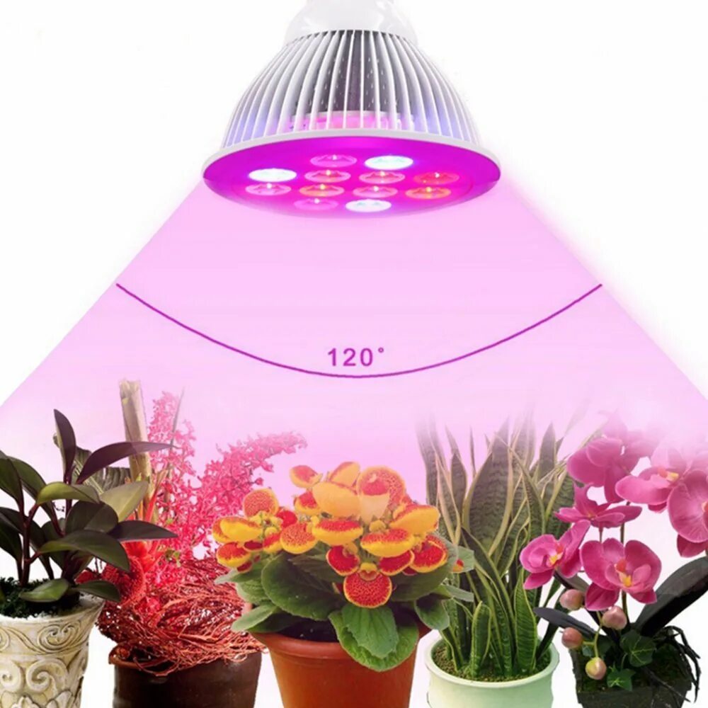 Led grow plant. Led grow Lamp 200w и 400w (фитолампа, биколор). Фитолампа Гелиос 36 для подсвечивания растений. Фитолампа е27 тройная. Фитолампа e27 360.