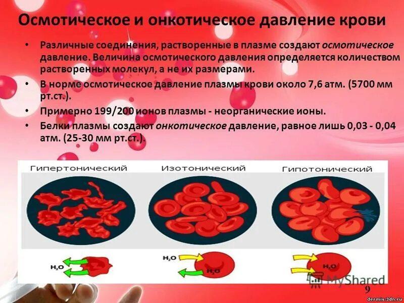 Осмотическое давление норма. Осмотическое давление норма