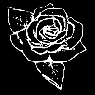 Белая роза на черном фоне (105 фото) " ФОНОВАЯ ГАЛЕРЕЯ КАТЕРИНЫ АСКВИТ