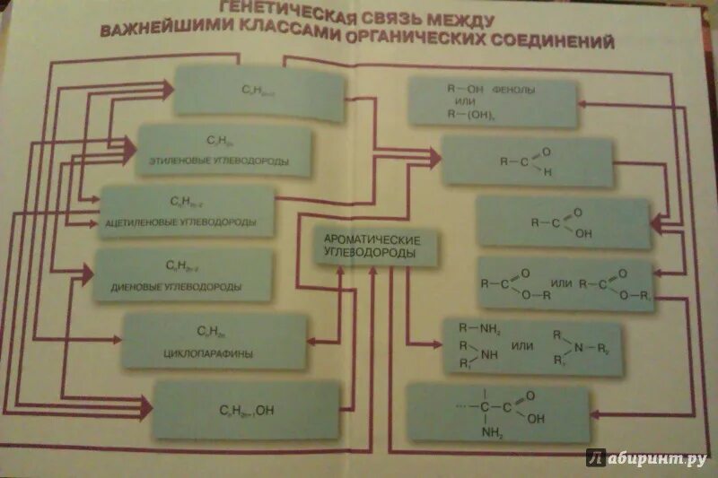 Схема генетической связи органических соединений. Генетическая взаимосвязь между классами органических соединений. Взаимосвязь классов органических соединений. Генетическая связь между классами органических веществ таблица. Генетическая связь кислородсодержащих органических