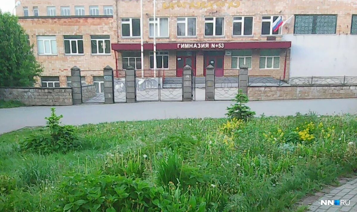 сайт гимназии 53 нижнего новгорода.
