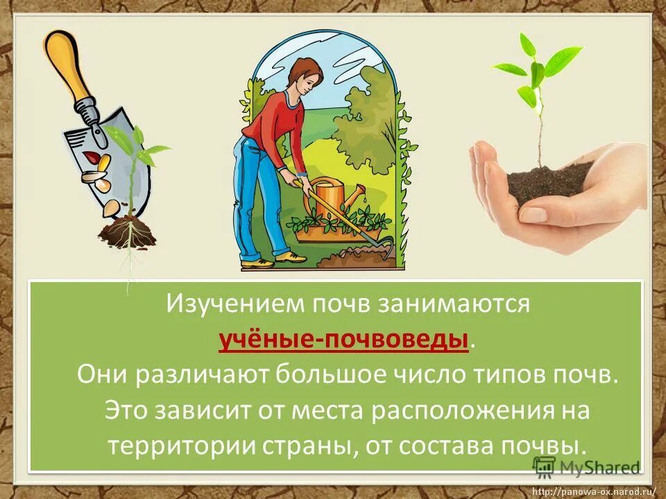 ученые почвоведы