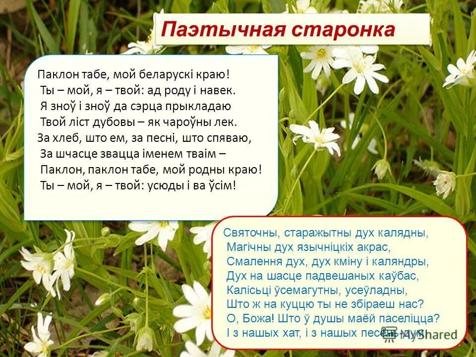 Мая любимая пара сачыненне. Мой родны край сачыненне. стих про беларусь. стих про родной язык на белорусском языке. шчасце стихотворение.