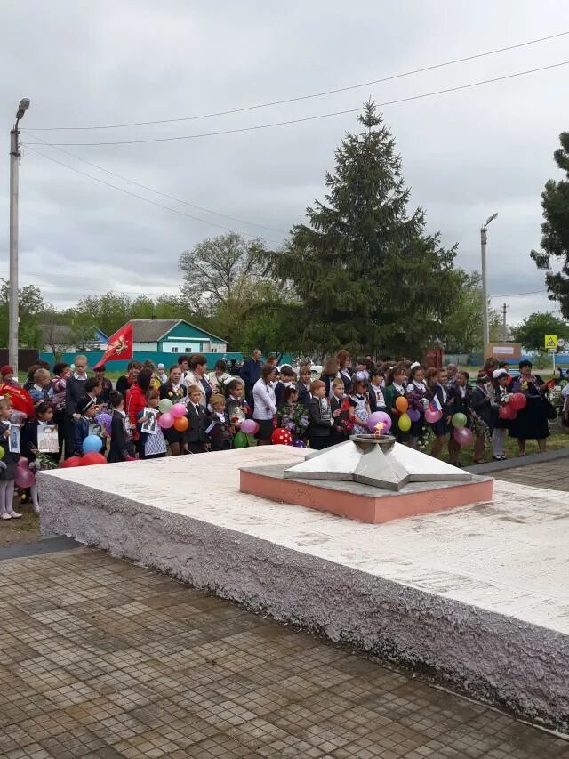 Погода в новопокровской краснодарского на 3 дня. Новопокровский район станица плоская. Станица плоская Краснодарский. Ст плоская Краснодарский кр. Ст плоская Новопокровского р-на Краснодарского.