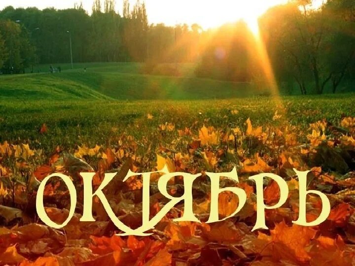 Октябрь путешествия. Осенний тур выходного дня. Экскурсия надпись. День поездки октябрь. День поездки октябрь.