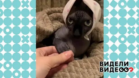 1 видео пришлю