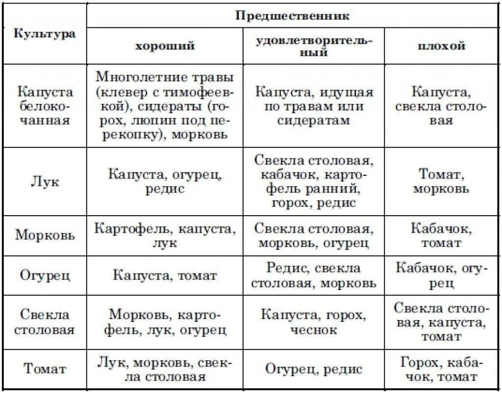 Лучшие предшественники для моркови