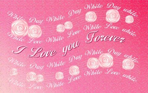 Define love