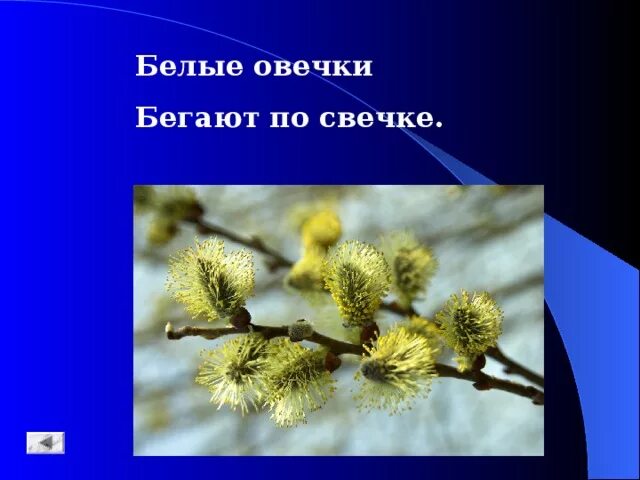 Бегают по свечке. Курева бежит. Физическая активность. Спортивная ходьба на природе. Утренняя пробежка.