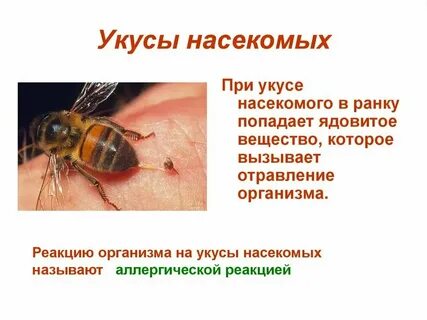 Укус насекомых антигистаминное