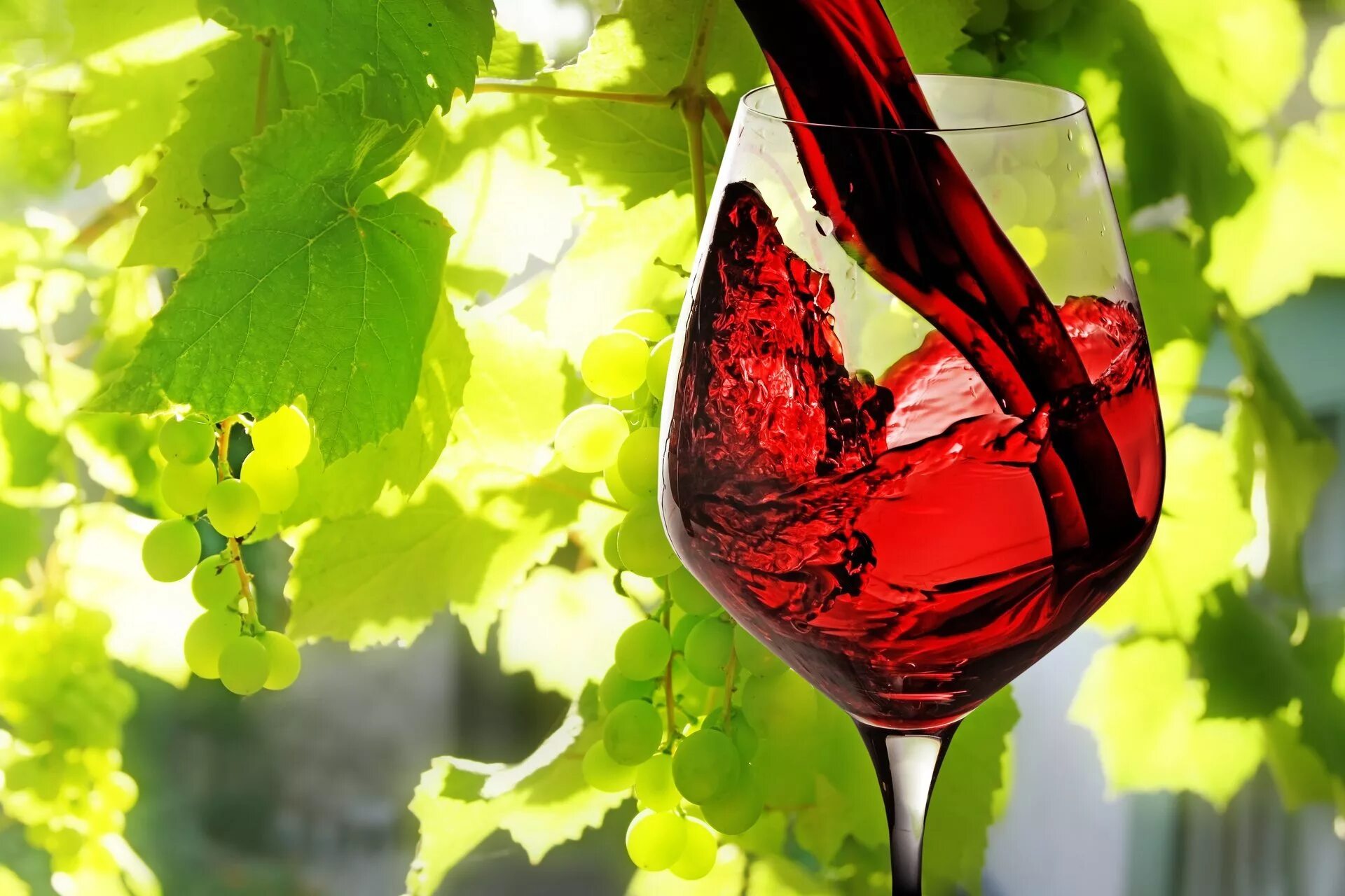 Вино красивые фото. Красное вино. Бокал с вином. Красное вино в бокале. Бокал красного вина.