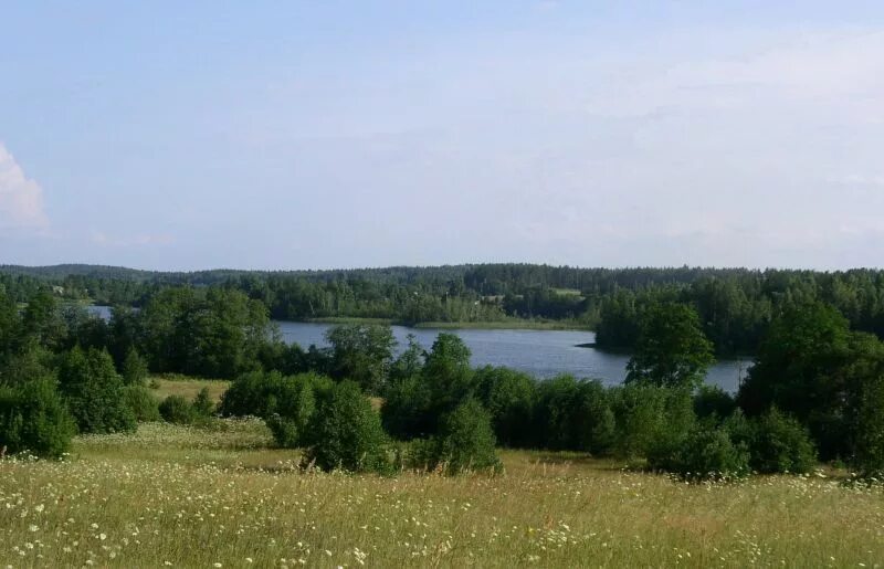валдайский кряж. валдайский кряж. моренные холмы валдайской возвышенности. валдайский национальный парк рельеф. валдайская возвышенность горы.