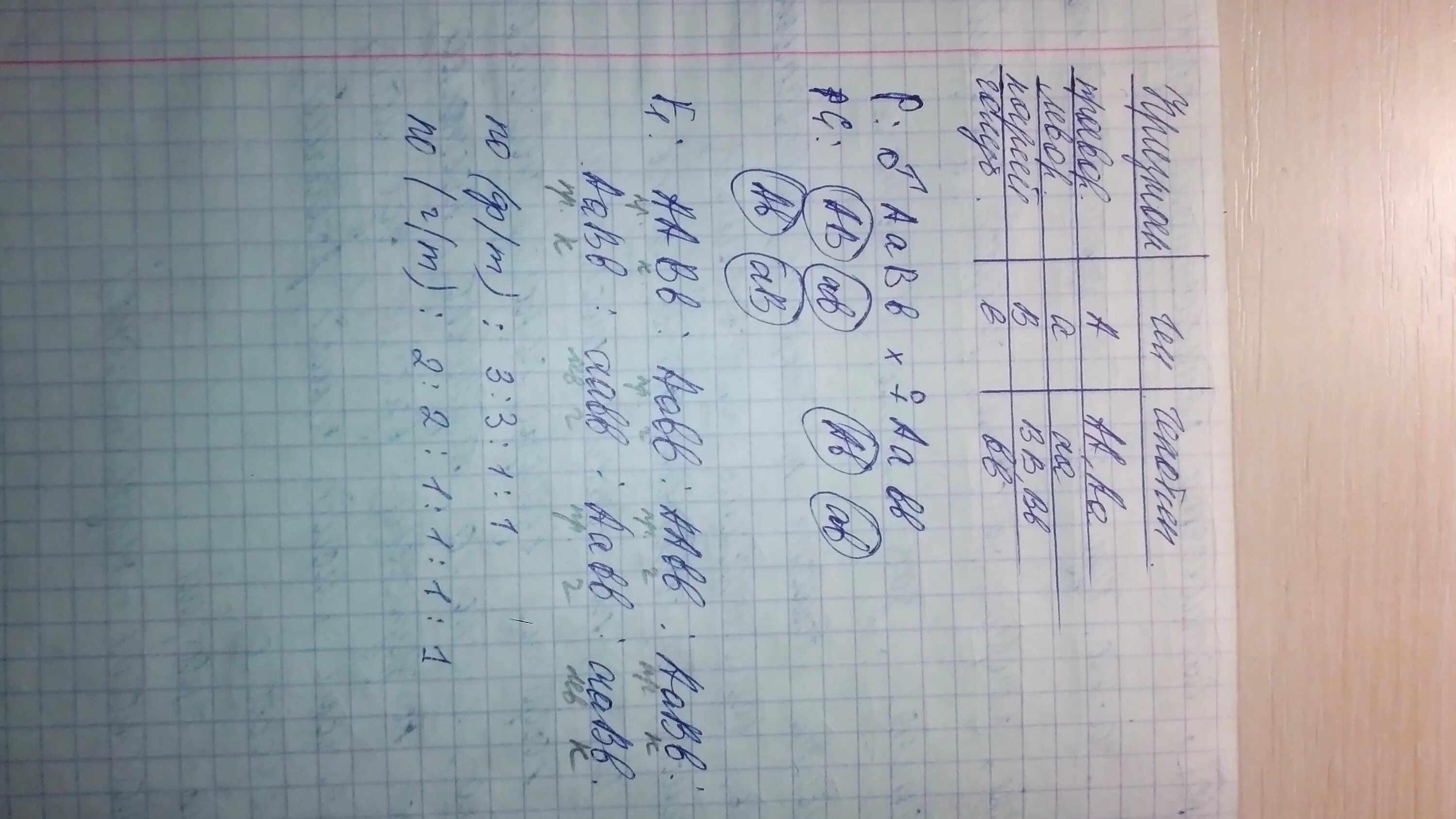 У человека праворукость доминирует над леворукостью кареглазость. У человека праворукость доминирует над леворукостью а карий. у человека праворукие доминирует над леворукостю. у человека карий цвет глаз доминирует. у человека карий цвет глаз доминирует над голубым.