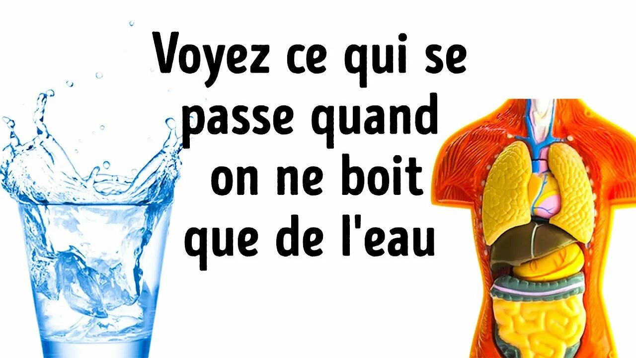 Qu est ce que vous