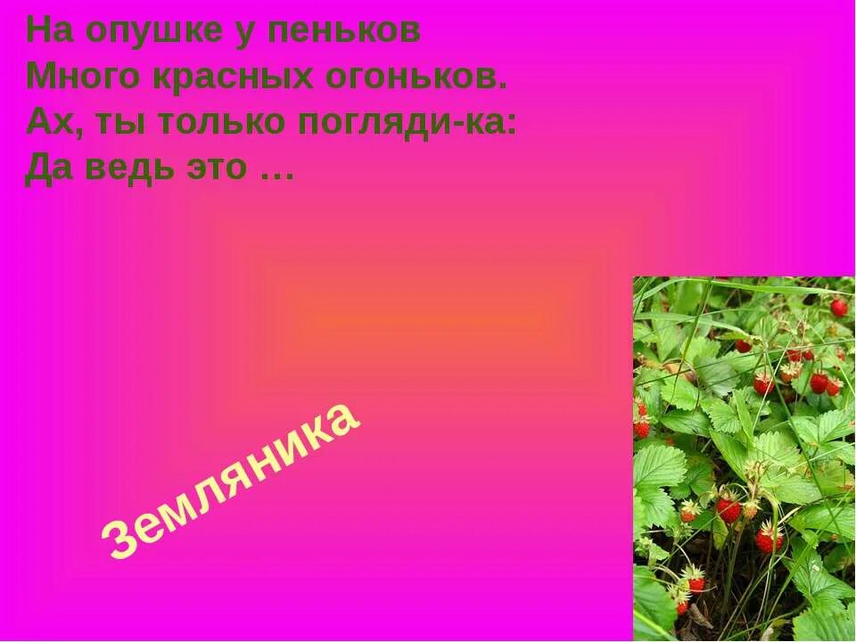 Ответ на загадку красненькая. Загадки про землянику для дошкольников. Полянка с дорожкой. Загадка про землянику для детей. Загадка на полянке у дорожки.