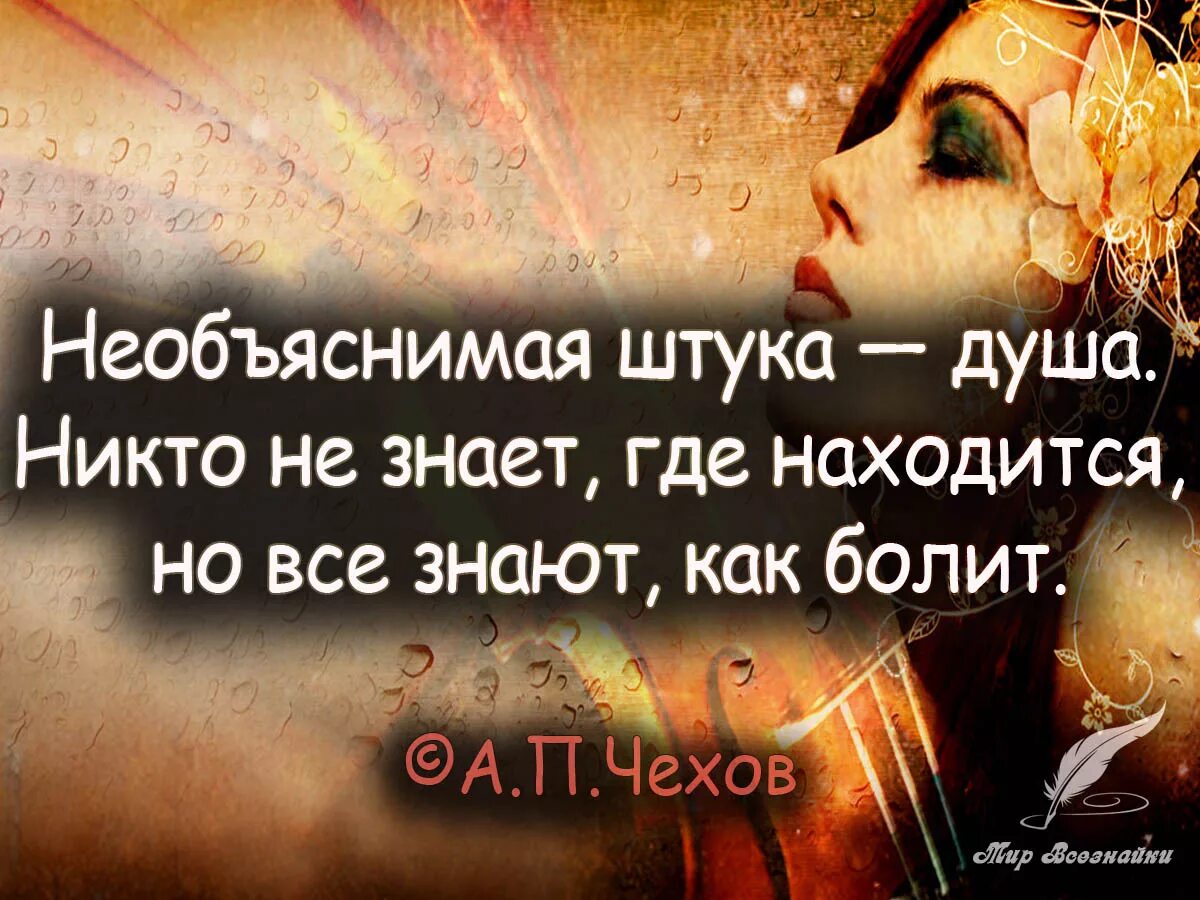 Чувствительные высказывания. Чувствительные высказывания. Чувствительные высказывания. Красивые цитаты. Красивые умные цитаты.