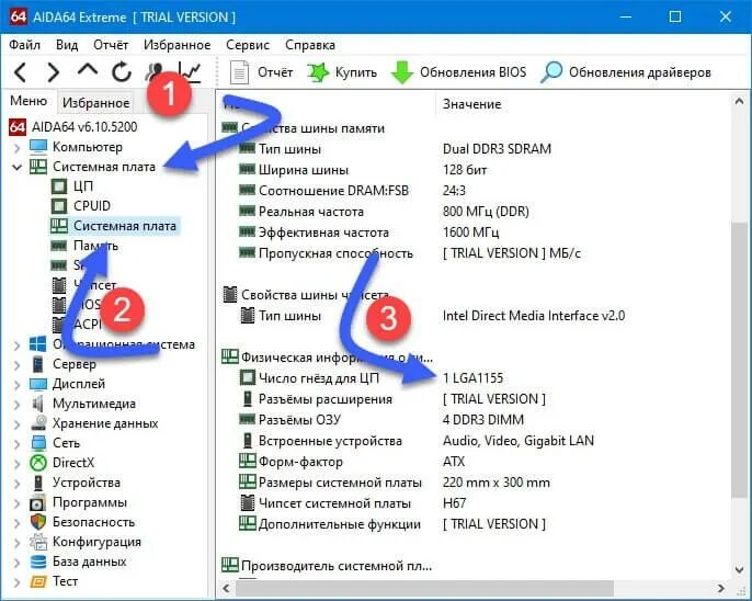 Как проверить через аиду. Разъемы расширения системной платы aida64. Как определить материнскую плату на компе. Как узнать материнскую плату через aida64. Как понять сокет материнки.