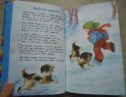 Рассказ осеевой сороки