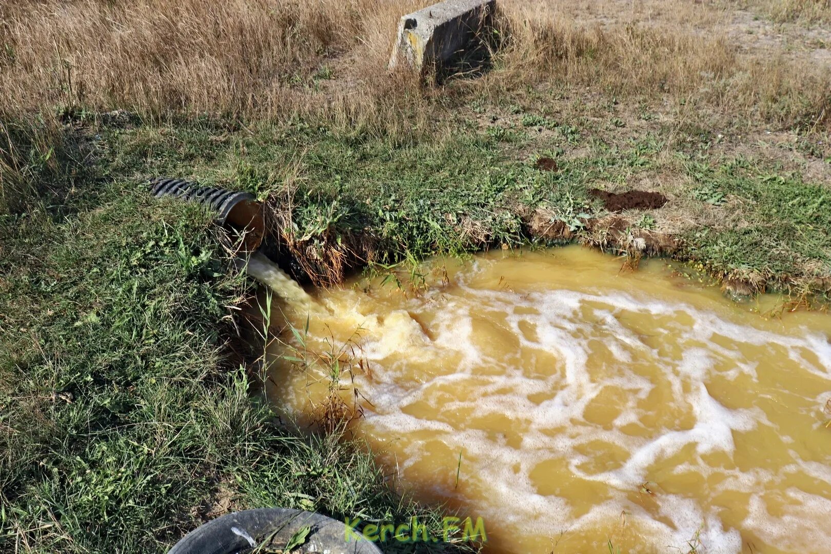 Грязная вода видео. Грязная вода. Пруд на Керченской улице. Грязная вода фото.