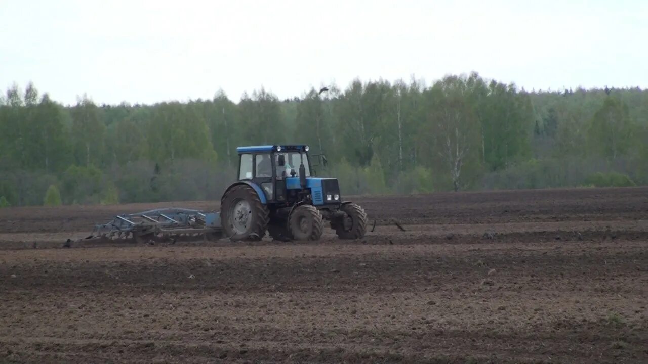 Работа мтз видео. Трактор МТЗ 82 С культиватором КПС. Культивация трактором МТЗ 82. КПС 4 С МТЗ 80. КПС-4 культиватор + МТЗ 1221.