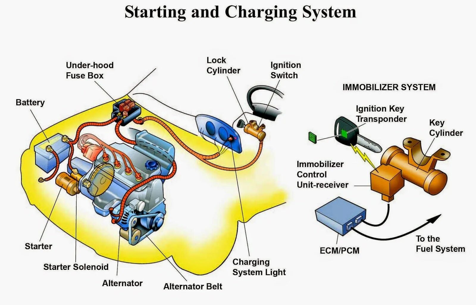 Car is a system. Ignition система. Car Battery recharging System. Car fuel System. How car fuel System works.