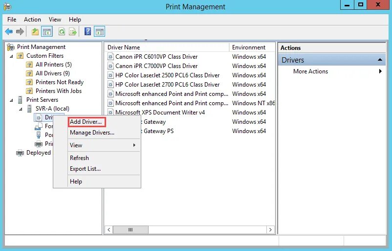 Add drive. Принт сервер Windows. Microsoft Server Driver. Сервер печати Windows 7. Windows Printer Driver v8.