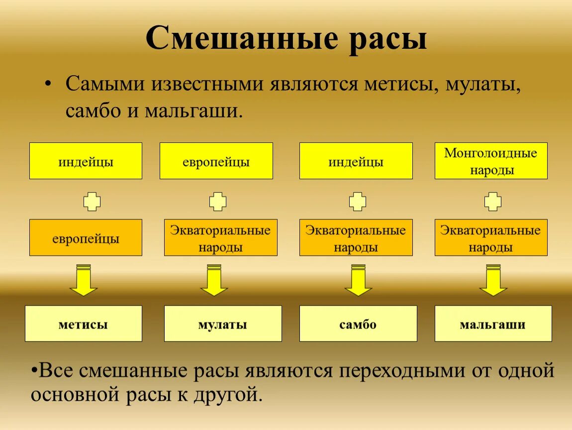 Смешанные расы людей