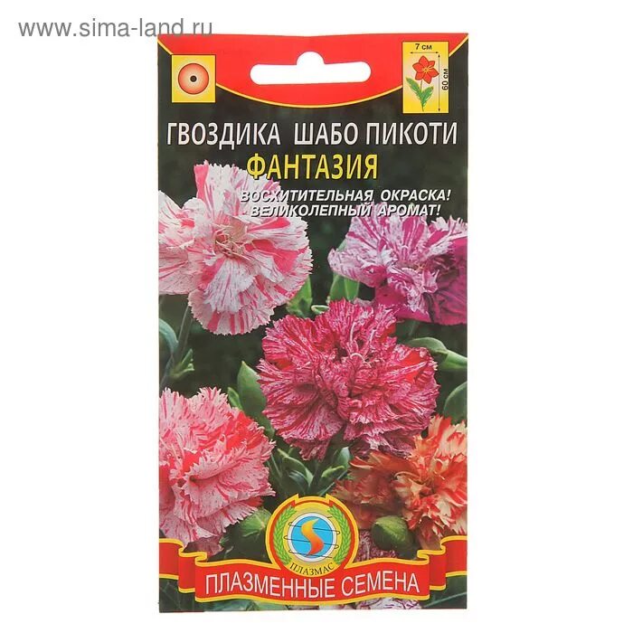 Выращивание ампельной гвоздики. Гвоздика Шабо Пикоти. Гвоздика Шабо фантазия. Ампельная махровая гвоздика. Гвоздика Шабо Пикоти фэнтези.