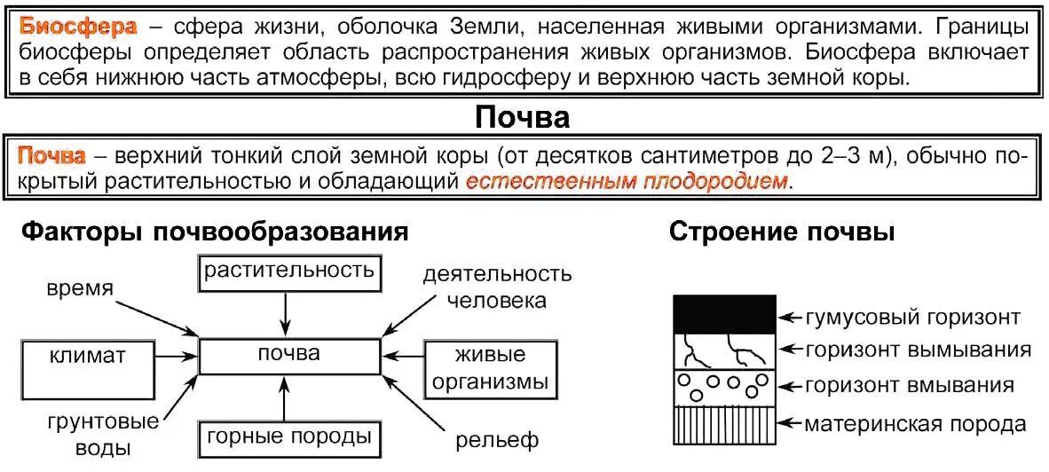 Какие типы вещества выделяют в биосфере. Биосфера сфера жизни. Структура и границы биосферы схема. Биосфера сфера жизни 6 класс география. Биосфера таблица по географии.