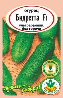 Сорт огурца конни