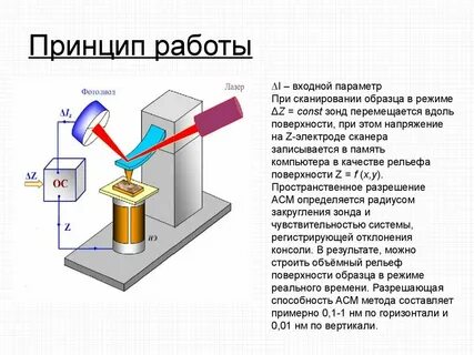 Принцип работы микроскопа
