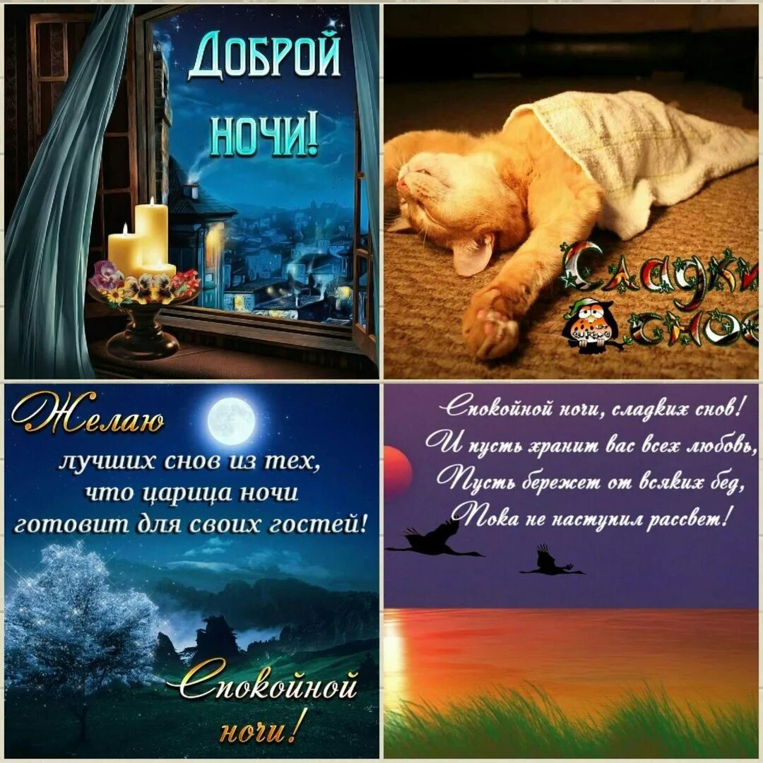 Приходи вечером книга