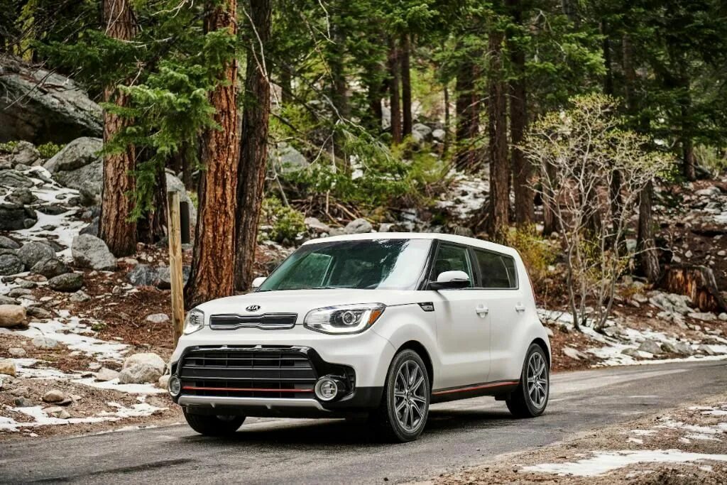 Киа соул круиз. Kia Soul 2019. Киа соул 2023. Kia Soul 2024. Киа соул марка 2019.