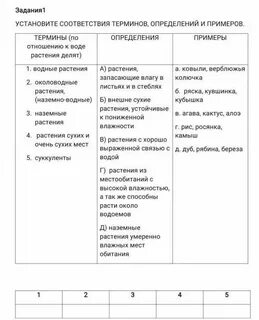 Установите соответствие термином и примером