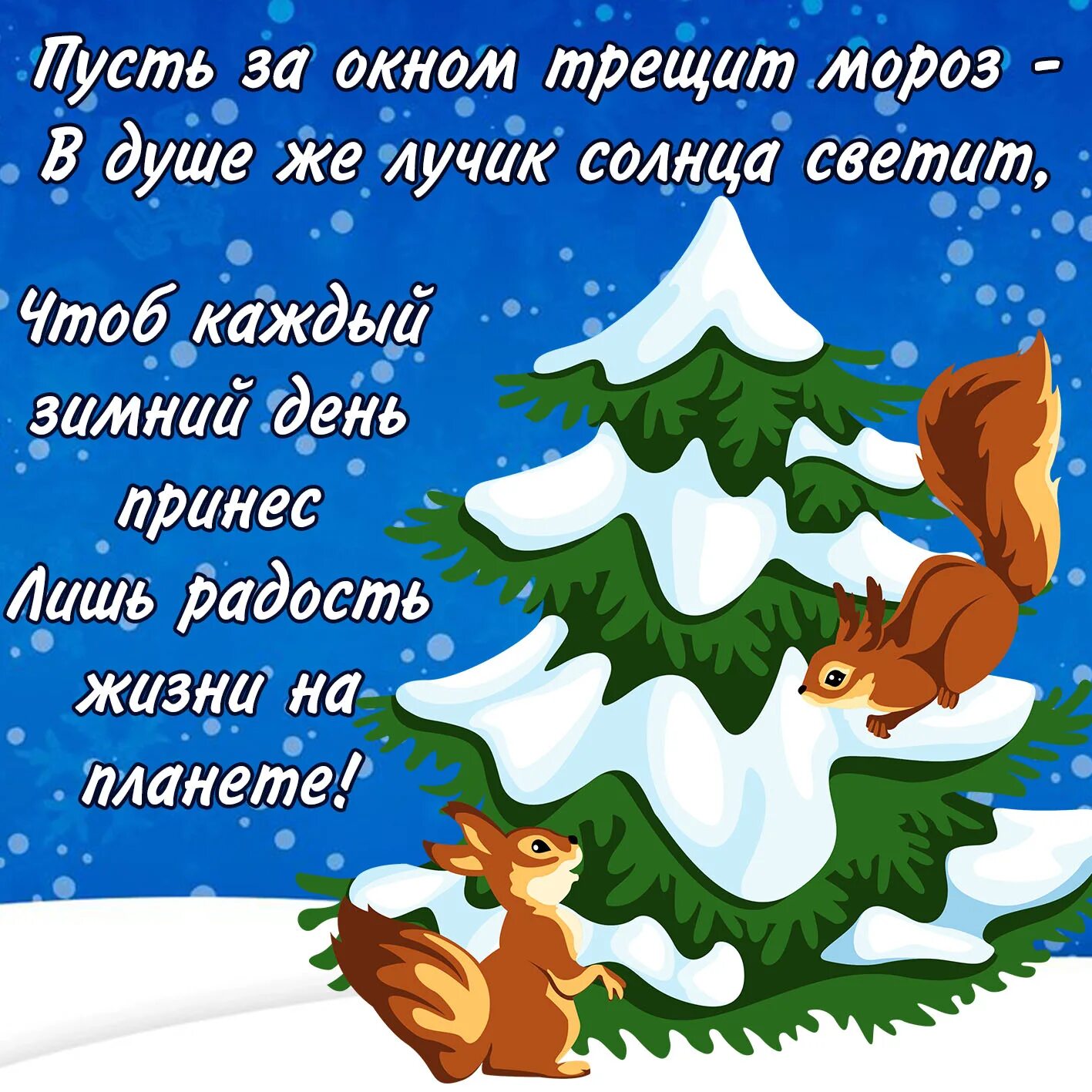 Пусть мороз. За окном трещит мороз. Мороз одевайся теплей. Новогоднее поздравление с белочкой. Трещат морозы.