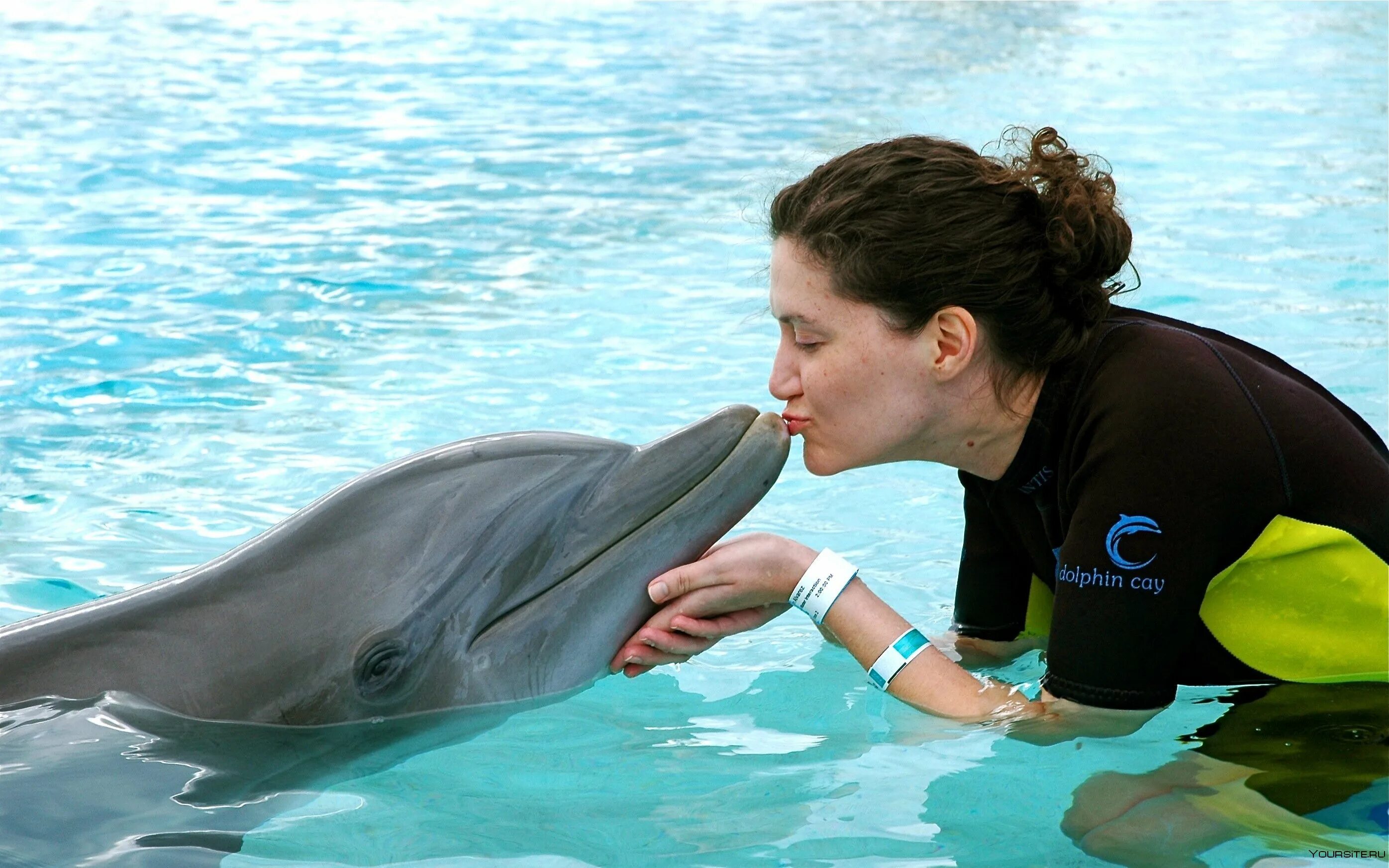 Дельфин Гектора. Семья дельфинов. Поцелуй дельфина. Фотосессия с дельфинами. Удовольствие с дельфином
