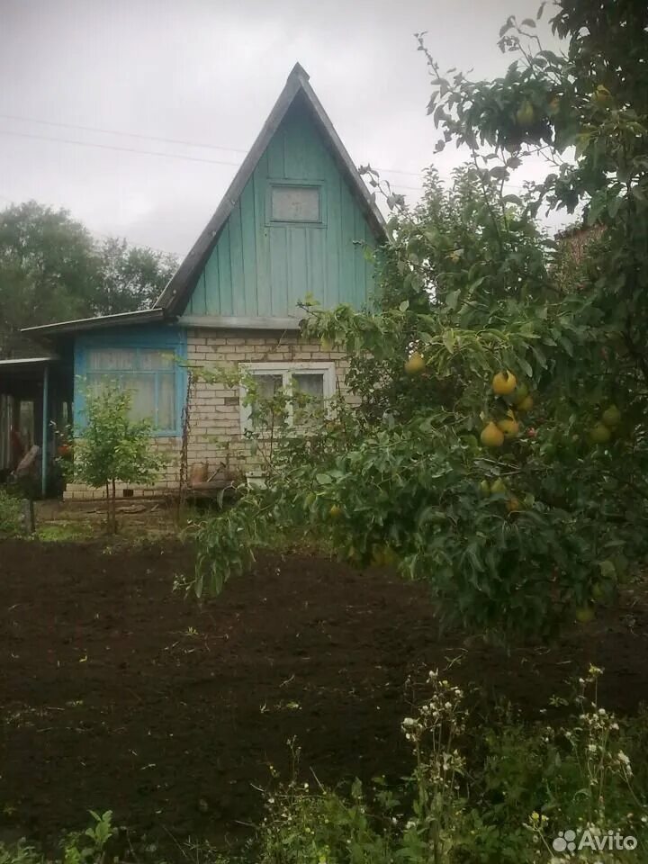 Село озёрки ульяновская область церковь. Озерки ульяновск. Село озёрки ульяновская область церковь. Озерки ульяновск. Озерки ульяновск.