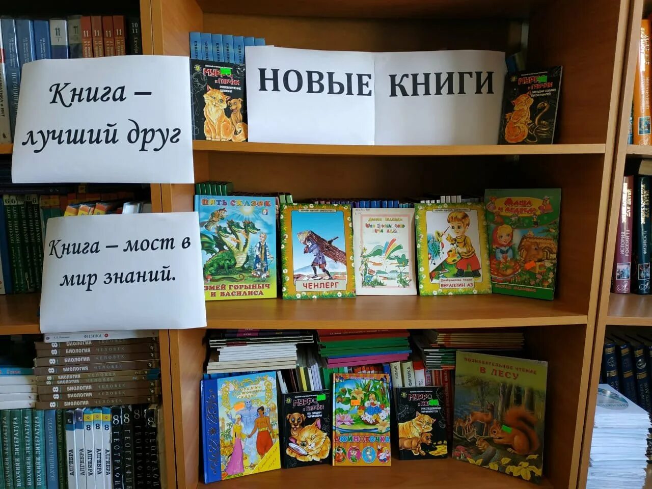 Кн выставки в библиотеке. Книга библиотека. Выставка новых книг в библиотеке. Книжные новинки выставка в библиотеке. Выставка новых книг.