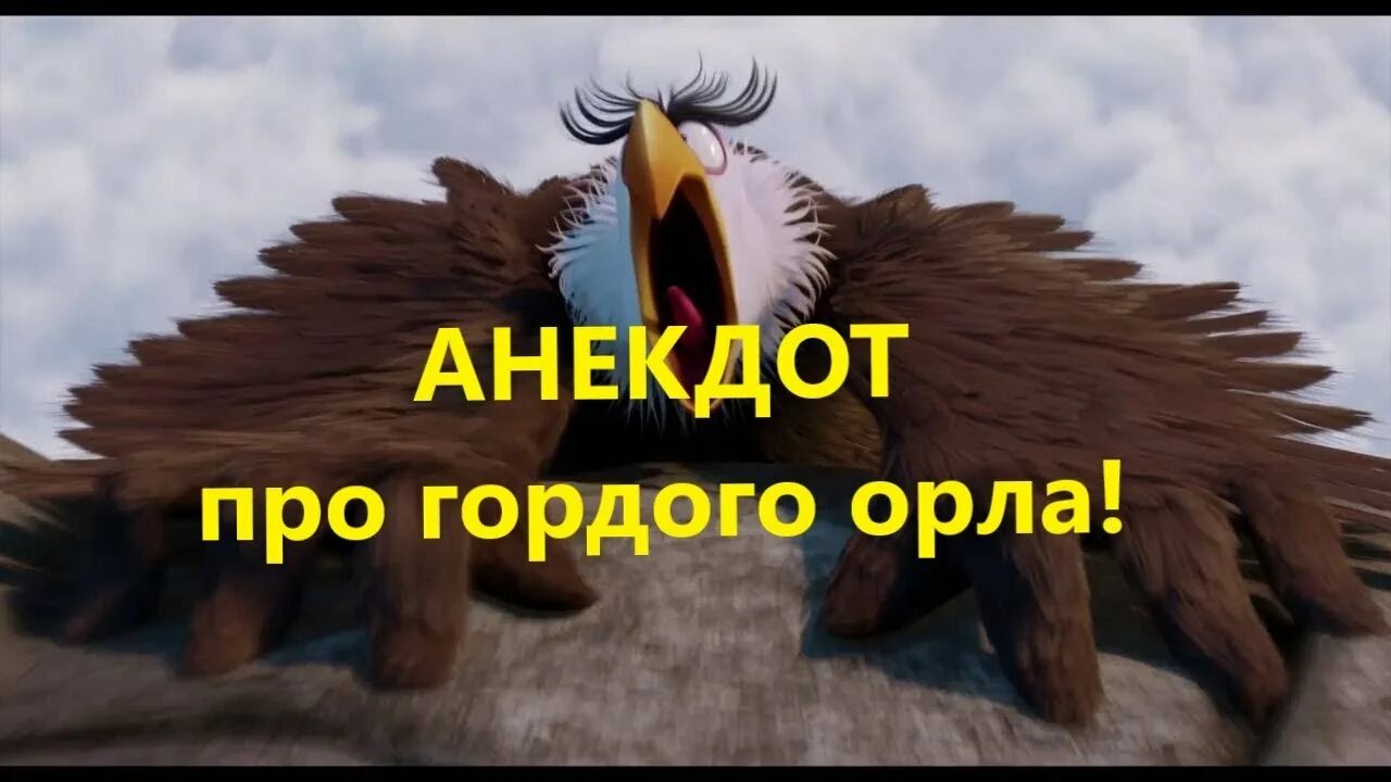 Ты гордый орел с огромными. Гордые орлы. Лысый орлан. Гордые орлы. Надпись орел.