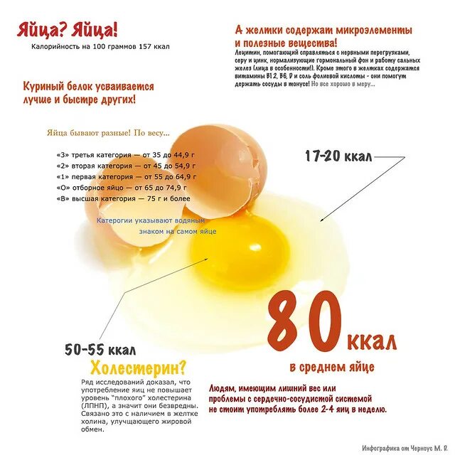 Килокалории куриного яйца. Инфографика яйцо. Производство яиц инфографика. Вареное яйцо инфографика. Яичница инфографика.